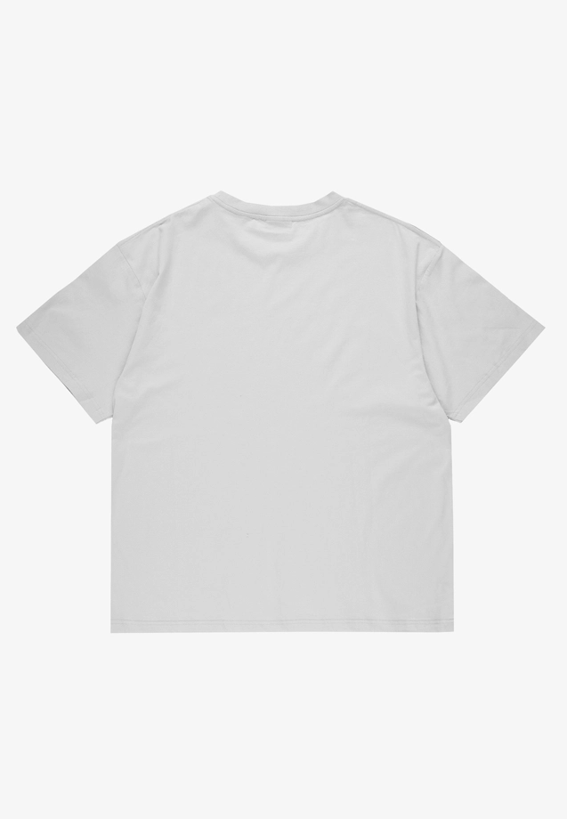 Koszulka męska t-shirt Prosto Damage Target szara