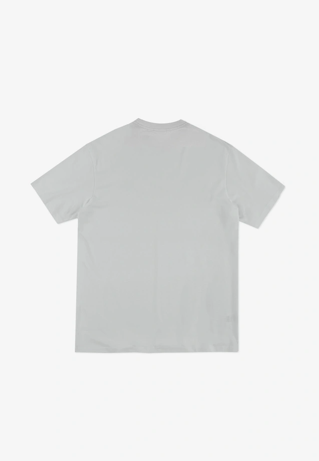 Koszulka męska t-shirt Prosto Collage szara