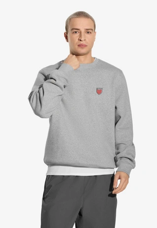 Bluza męska Prosto Shield crewneck szara