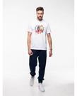 Koszulka męska t-shirt Diil Laur Paint Splash biała