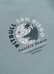 Bluza męska bez kaptura Pitbull Pit Bull Planet Surf jasno niebieska