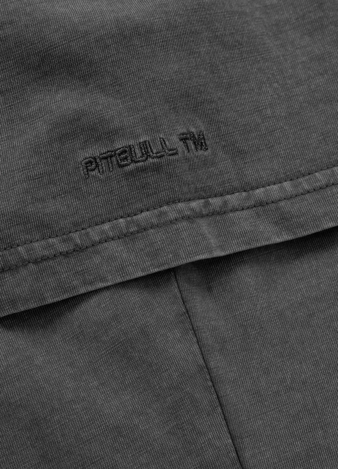 Koszulka damska T-shirt Pit Bull Santa Muerte 25 szara