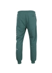 Spodnie dresowe męskie Prosto Klasyk Flangor zielone