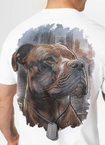 Koszulka męska T-Shirt Pit Bull Pitbull Hero biała