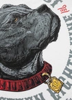 Koszulka męska T-Shirt Pit Bull Pitbull Strenght & Respect biała