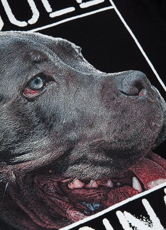 Bluza męska bez kaptura Pitbull Pit Bull Orgin czarna