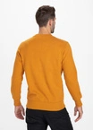 Bluza bez kaptura Pitbull TNT crewneck honey yellow
