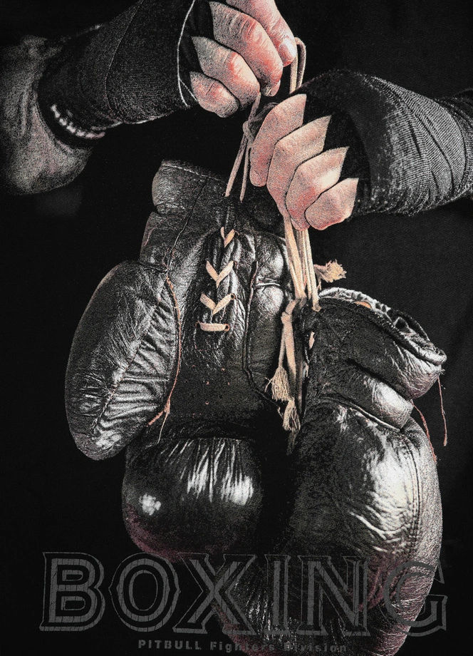 Bluza męska bez kaptura Pitbull Pit Bull Boxing FD black