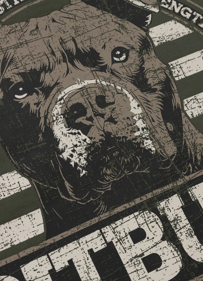 Bluza męska z kapturem Pitbull Pit Bull Troublemaker zielona