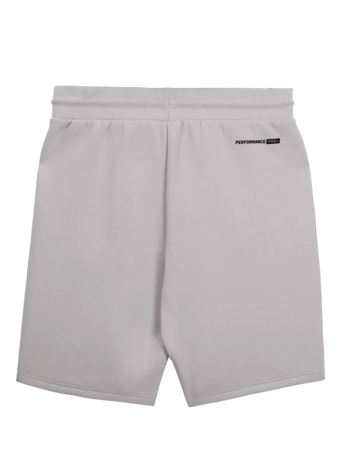 Spodenki szorty dresowe męskie Pitbull Dogwood złamana biel