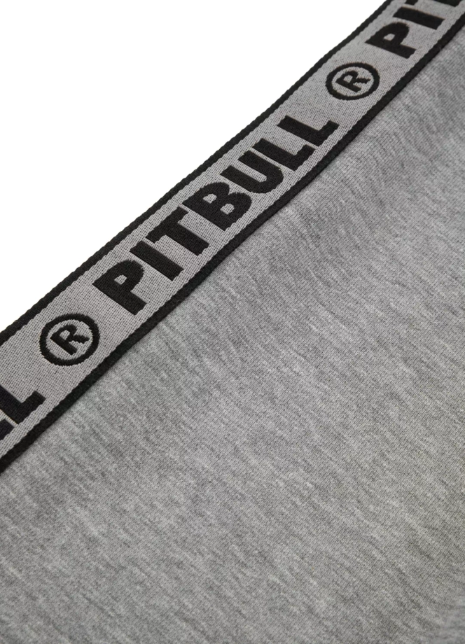 Bluza męska Pit Bull West Coast Dandridge Pitbull hooded szara