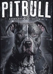 Bluza męska Pitbull Pit Bull Street King crewneck czarna