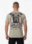 Koszulka męska T-Shirt Pitbull Troublemaker grey harbour
