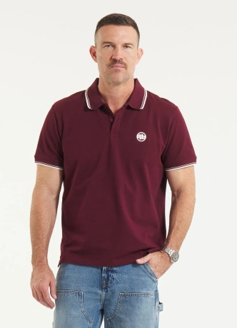 Koszulka męska Polo Pitbull Pique Stripes Regular ciemno bordowa