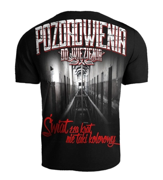 Koszulka męska T-shirt Public Enemy PDW BSNT czarny