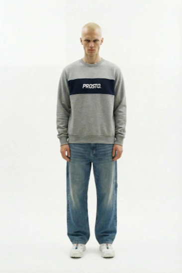 Bluza męska Prosto Root crewneck szara