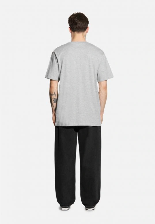 Koszulka męska t-shirt Prosto Base szara