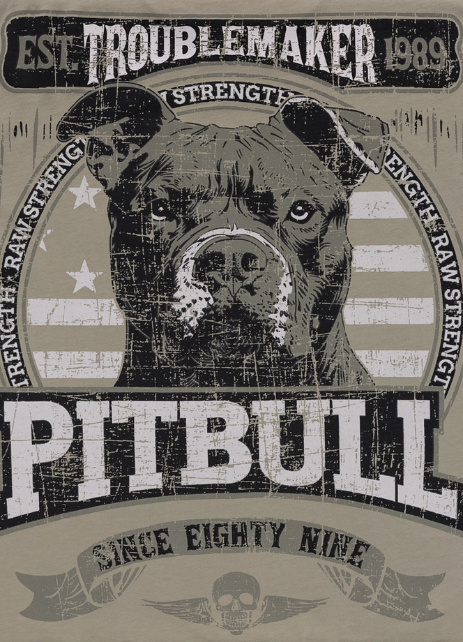 Koszulka męska T-Shirt Pitbull Troublemaker grey harbour
