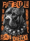 Bluza męska bez kaptura Pit Bull Blacky czarna
