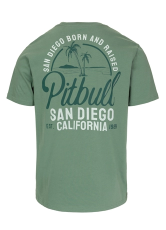 Koszulka męska T-Shirt Pit Bull Pitbull San Diego Born miętowa zielona