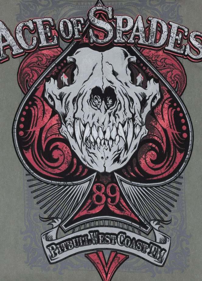 Koszulka męska T-Shirt Pit Bull Pitbull Denim Washed Raw Ace Of Spades zielona