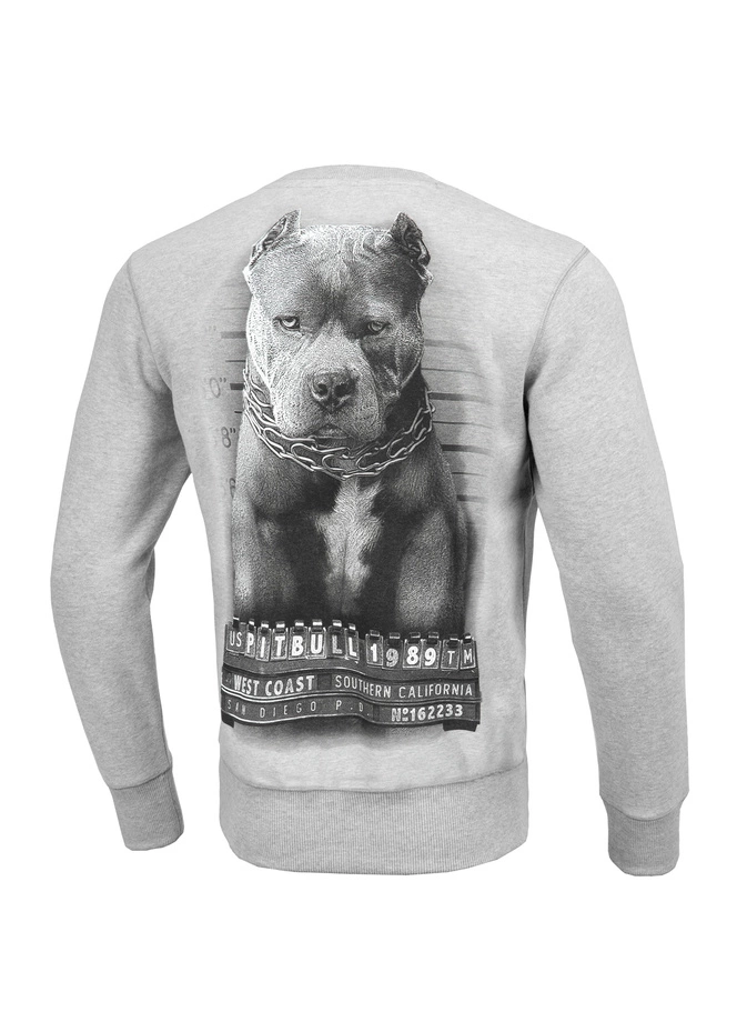 Bluza męska Pitbull Pit Bull Mugshot szara