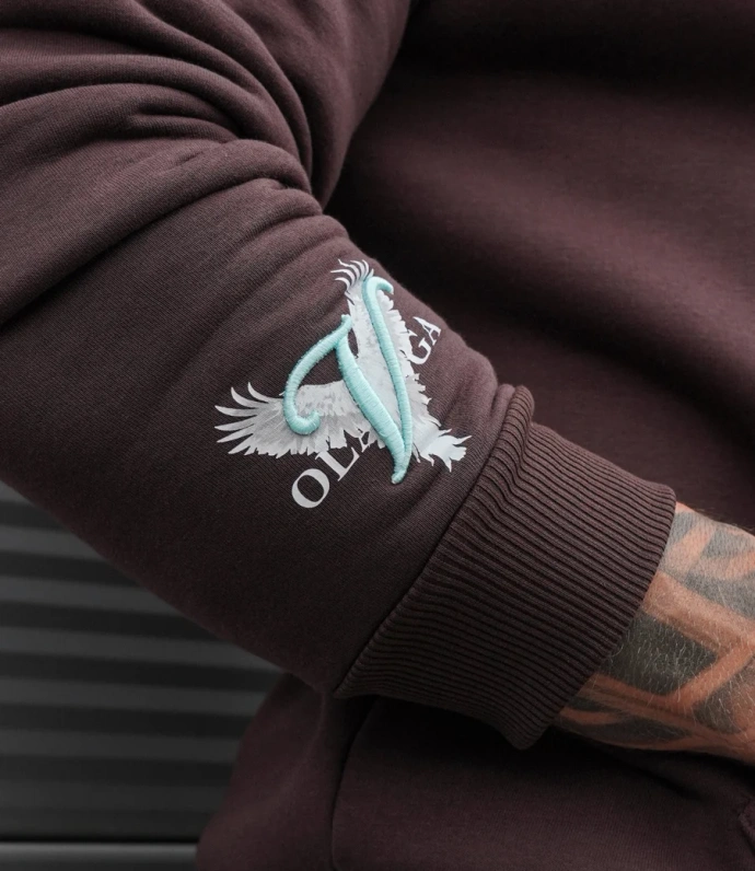 Bluza męska z kapturem Olavoga EAGLE brązowa