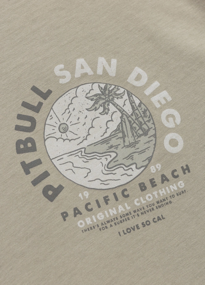 Koszulka męska T-Shirt Pit Bull Pitbull Planet Surf szara oliwkowa