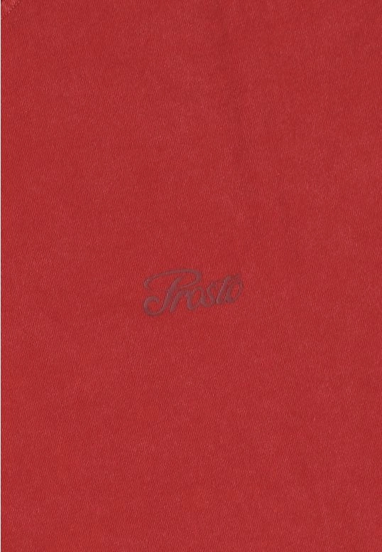 Koszulka męska t-shirt oversize Prosto Hex czerwona