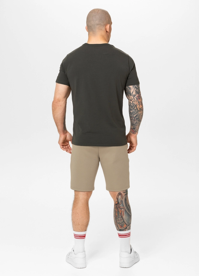 Spodenki szorty dresowe męskie Pitbull Dogwood beżowe