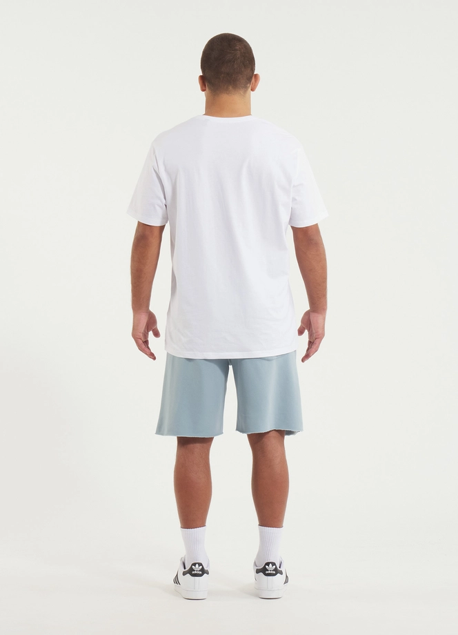 Spodenki szorty dresowe męskie Pitbull Lancaster 2 Washed jasno niebieskie