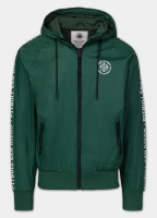 zielony