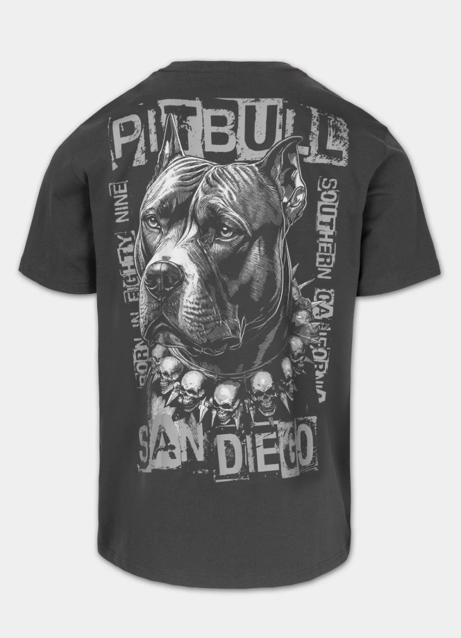 Koszulka męska T-Shirt Pitbull West Coast Blacky szary
