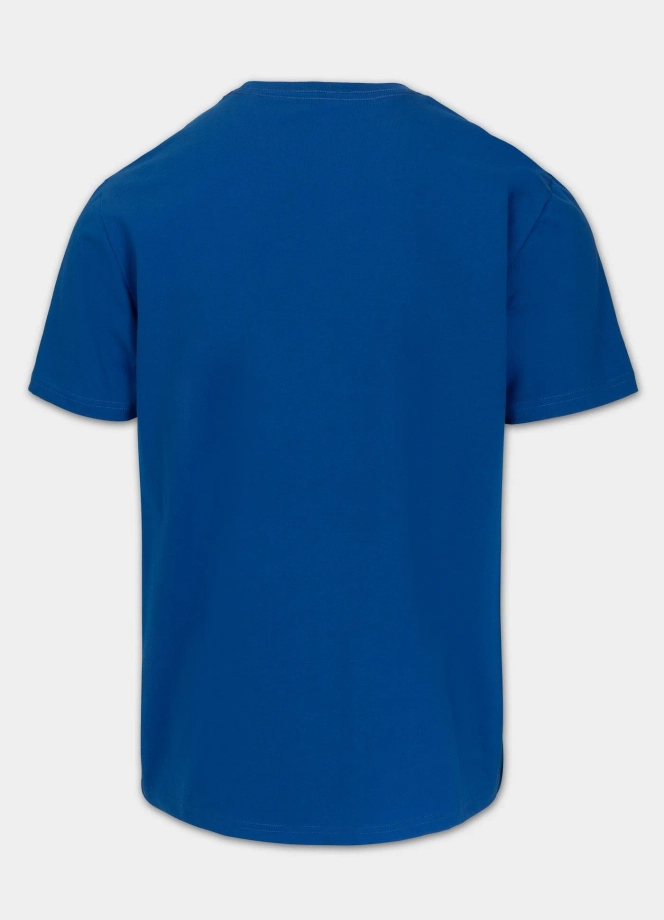 Koszulka męska T-Shirt Pitbull West Coast Norton niebieski