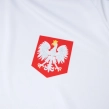 Koszulka męska T-shirt Patriotic Cls Poland biało/czerwona
