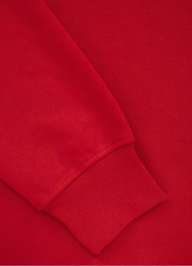 Bluza meska z kapturem Pitbull Pit Bull Hilltop Terry hooded czerwona