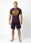 Koszulka męska rashguard Pitbull Logo Palms brązowa