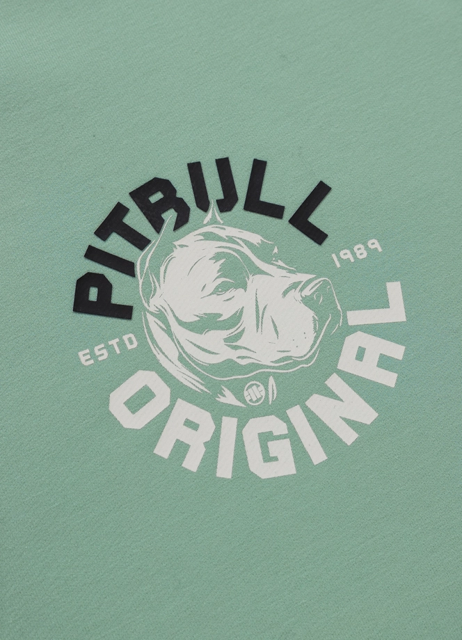 Bluza męska z kapturem Pitbull Pit Bull Dog SD ZIP miętowa zielona