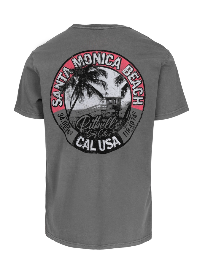 Koszulka męska T-Shirt Pit Bull Pitbull Denim Washed Oceanside 25 szara