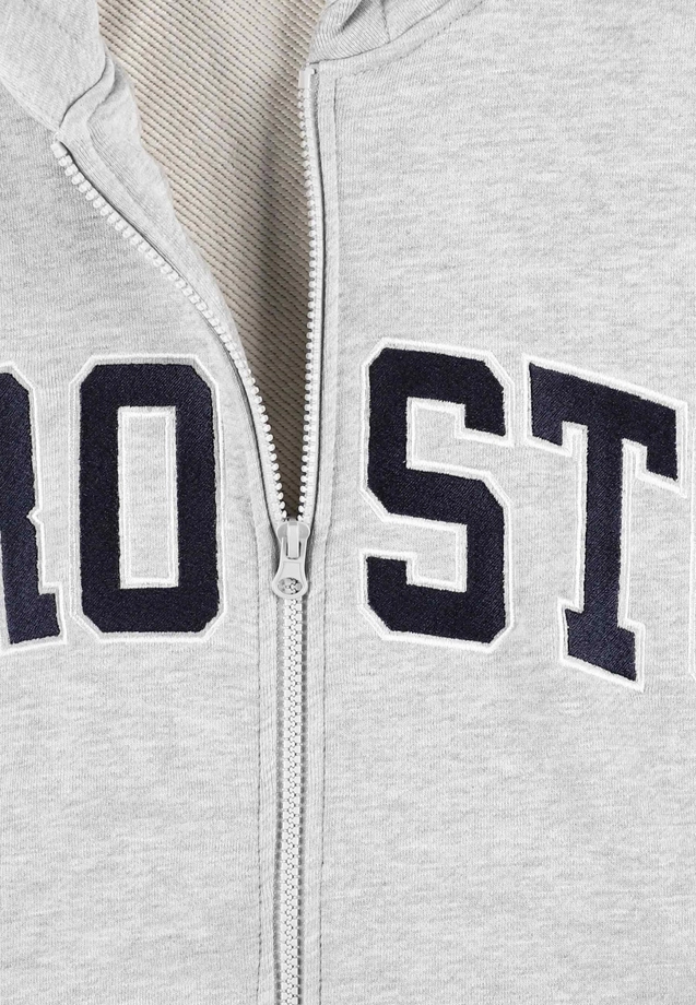 Bluza męska rozpinana z kapturem Prosto Axel szara