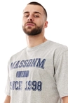 Koszulka męska t-shirt Mass Dnm Campus szara