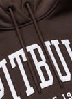 Bluza damska z kapturem Pitbull Norton brązowa