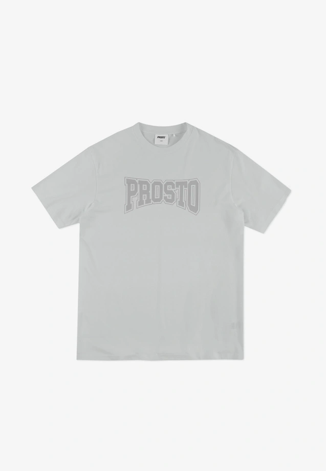 Koszulka męska t-shirt Prosto Collage szara