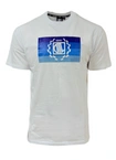 Koszulka męska t-shirt Diil Pallet biała