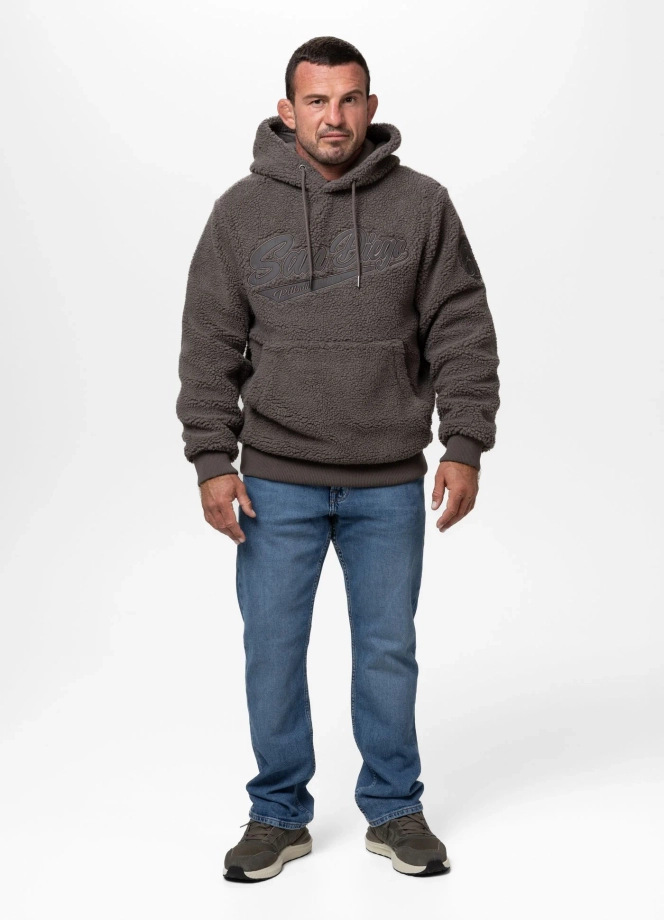 Bluza męska z kapturem Pit Bull Galaxy taupe