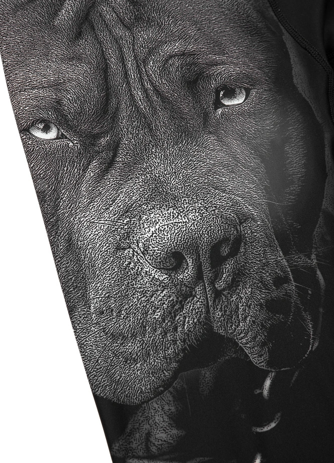 Leginsy techniczne Pit Bull Pitbull Leggins Born in 1989 czarne