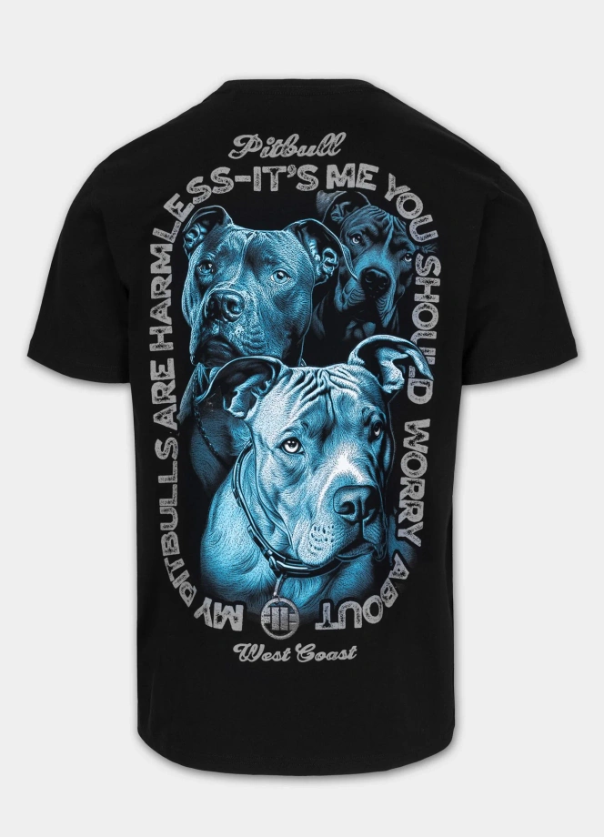 Koszulka męska T-Shirt Pit Bull Protector czarna