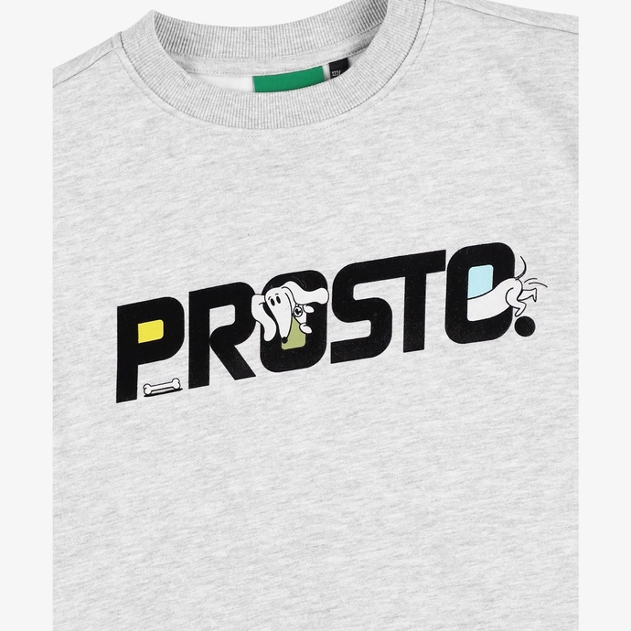 Bluza dziecięca Prosto Kids Jamnik szara