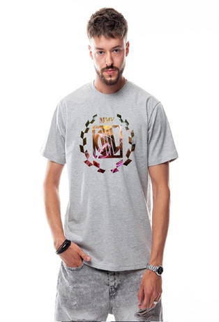 Koszulka męska t-shirt Diil Laur High szara