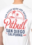 Koszulka męska T-Shirt Pit Bull Pitbull San Diego Born biała